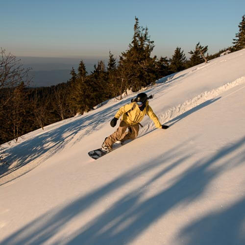 Things to Do callout