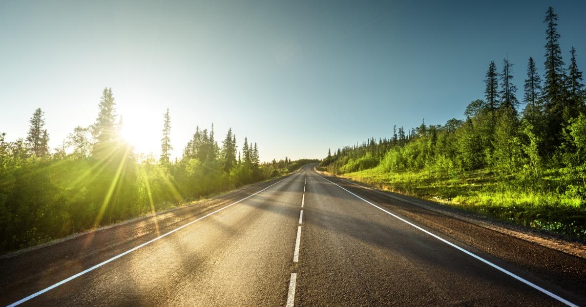 An open road is surrounded by tall trees and grass. The sunshine is streaming through the trees.