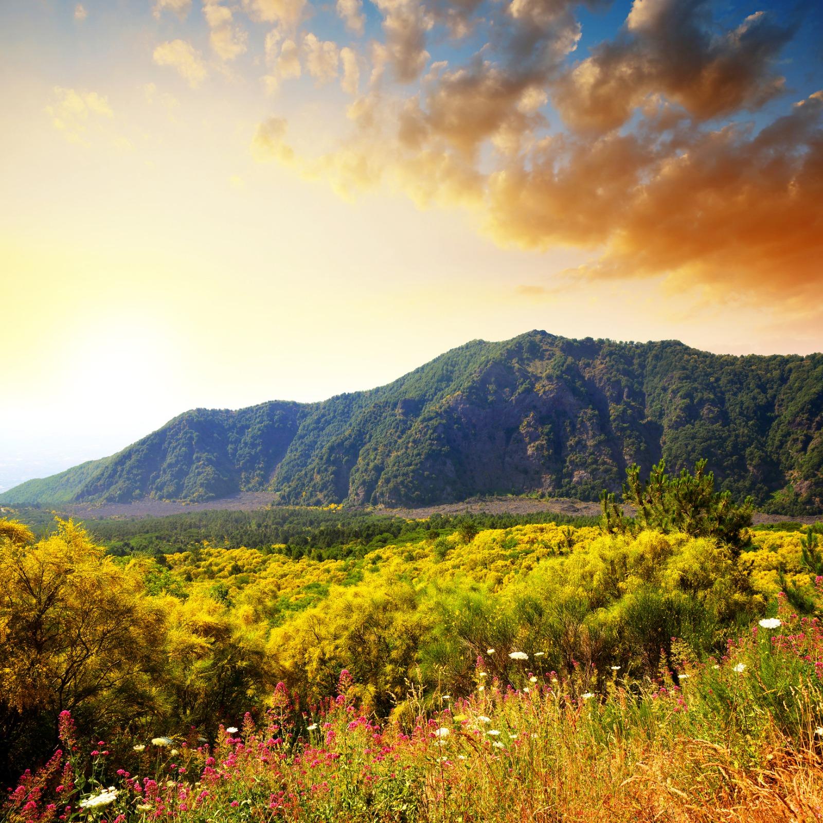 Blue Ridge Mountains of North Carolina